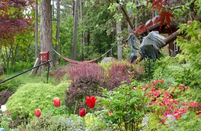 Unique eco experience, walking distance to all that Qualicum Beach has to offer