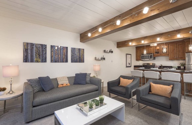 Updated 2 BR in the Heart of Aspen - Pool & Hot Tub