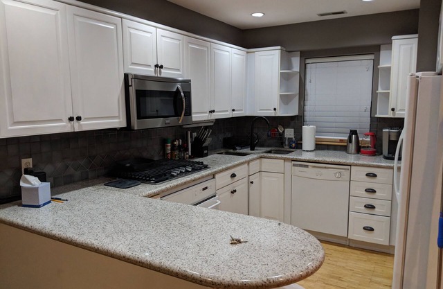 Upscale Town House in Downtown Syracuse (Walk to Everything)
