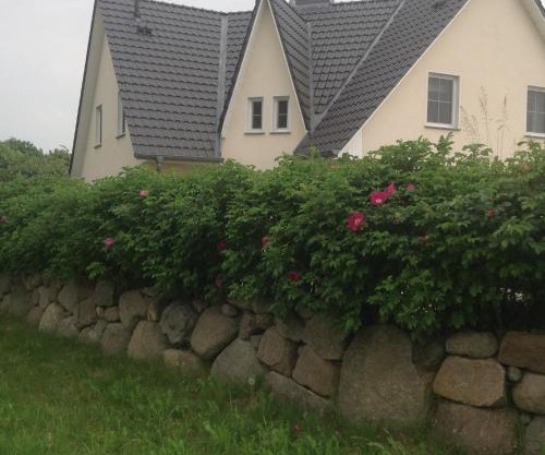 Urlaubsglück Familien- & Hunde-Paradies