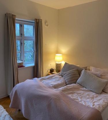 Værelse udlejes i herskabslejlighed midt i Odense by