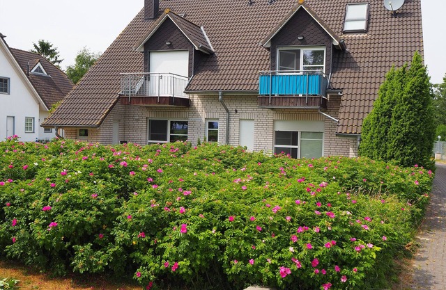 Vacation apartment/apartment for 2 guests with 65m² in Zingst OT Müggenburg (65250)