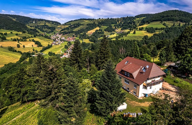 Vacation apartment/apartment for 4 guests with 65m² in Wieden (297267)