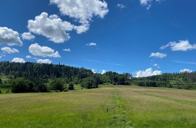 Vacation apartment "Friedersdorfer Mühle" in an idyllic secluded location