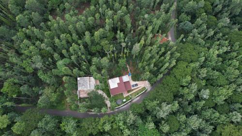 Vamsi's Woodside