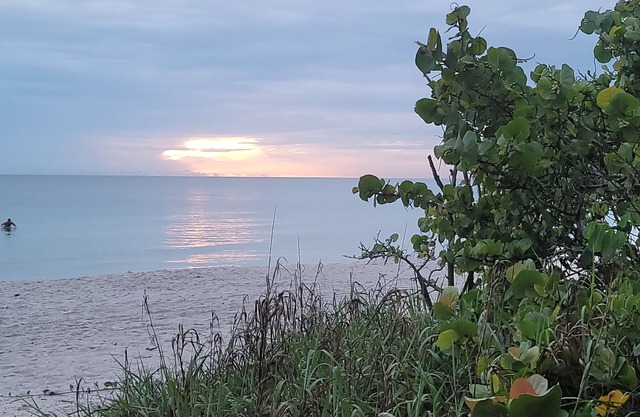 Vanderbilt Gem- Beautiful 3/2/family friendly☆3 Mins to the beach☆Dog friendly