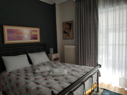 Vasiliki Apartment Trikala