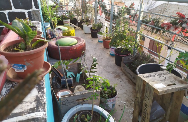 Very central with space for socializing, breakfast $. Close to everything!