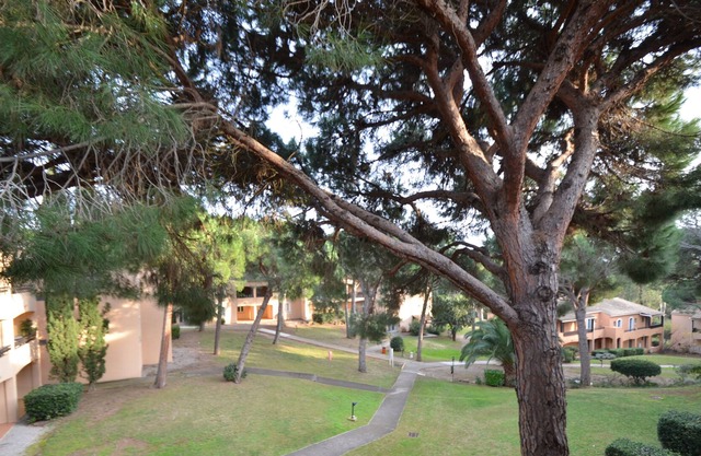 Very nice clean apartment in Saint-Raphaël with a view of a private park