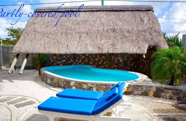 Villa with swimming pool and jacuzzi, large veranda, gazebo and outdoor bar