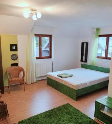 Vila Vlad