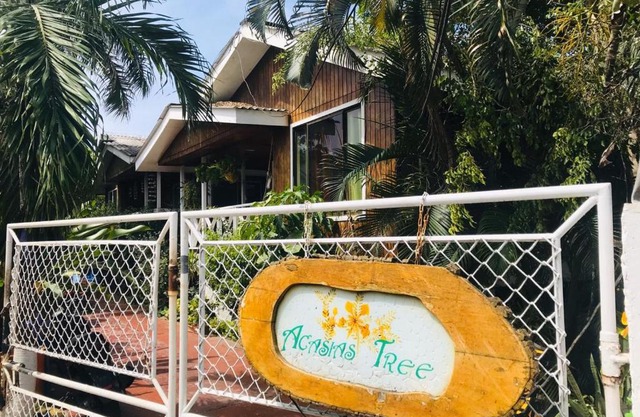 Villa acacias tree