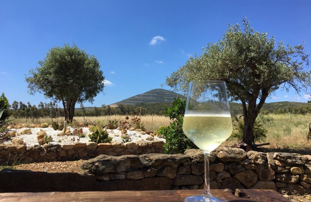 Villa Arzilla Sardegna