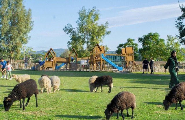 Villa avec piscine, accès ferme, jeux d'enfants, animaux