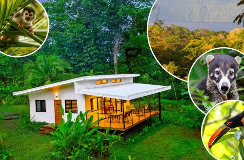 Villa Bruno - Jungle Lodge Near Corcovado & Puerto Jiménez