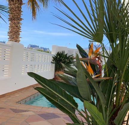 villa cinco palmas