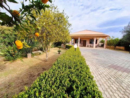 Villa del Mandorlo
