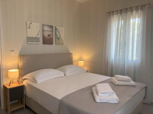 Villa Eleni Aegina