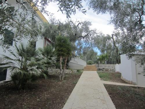 Villa Elisa
