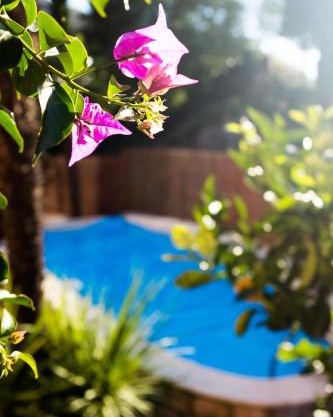 Villa Fiore