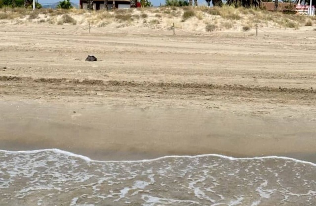 Villa Grao Benicasim REF 026