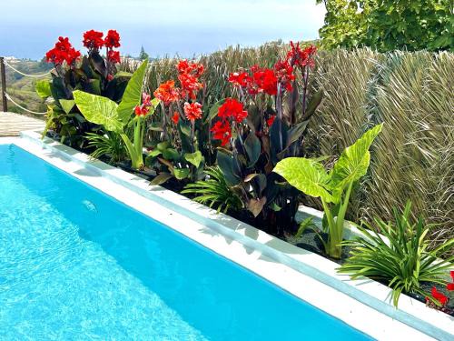 Villa Ocean Breeze