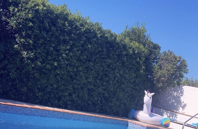 Villa pool and relaxation
