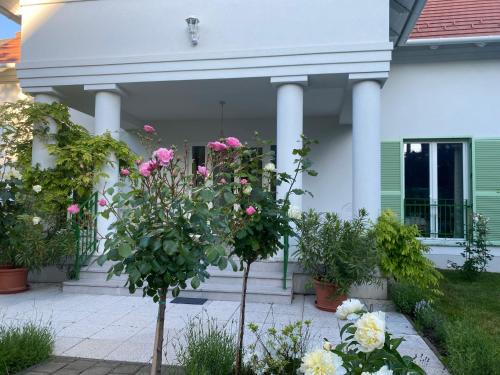 Villa Rosa Centre