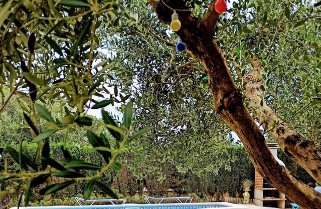 Villa with garden, private pool, with air conditioning, free wifi. cozy,
