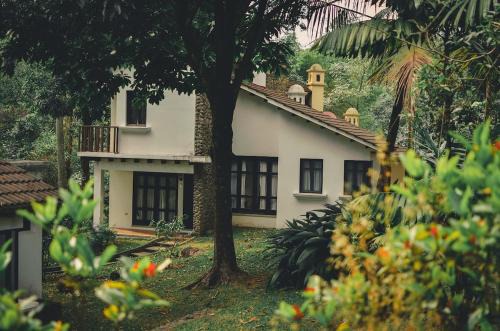 Villa with pool in nature
