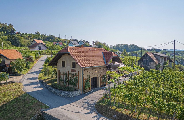 Vineyard Cottage Brodaric, Metlika, Slovenia