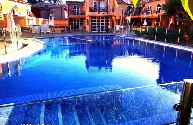 VIOLET Palmeral Oasis