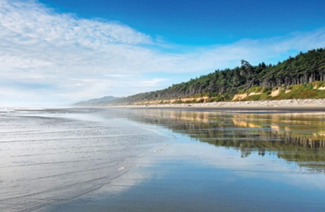 Visit the beautiful Leadbetter Point State Park & Wildlife Refuge!