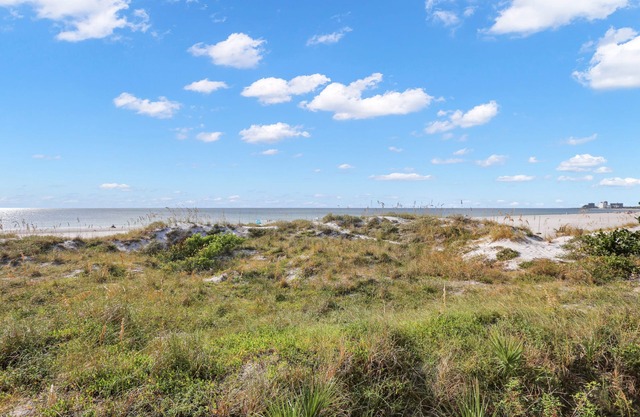 Vistas The Gulf 