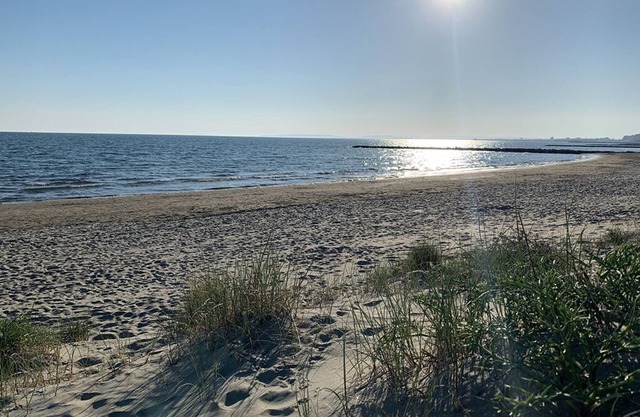 Vue mer -acces Direct Plage - Piscine- 46 m2- 2 Chambres- Boucanet-grau du roi