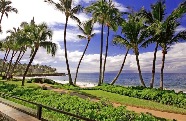 Wailea Elua Resort Gorgeous Remodel #1507