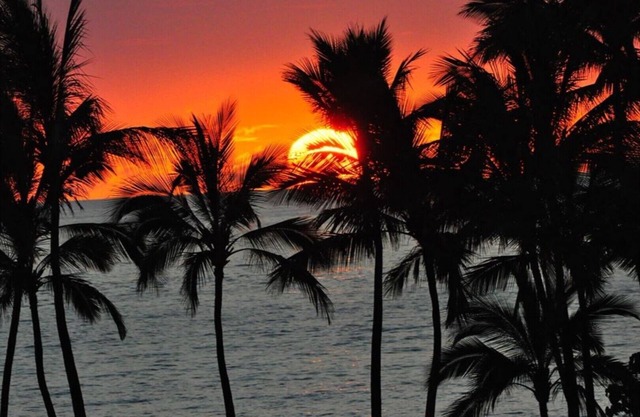 Wailea SPECIAL SEPT-NOV, Full AC, 1st FL, Expansive Lanai, Pool & Walk to Beach