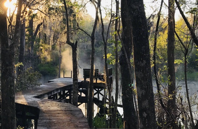 Wakulla River Waterfront Retreat