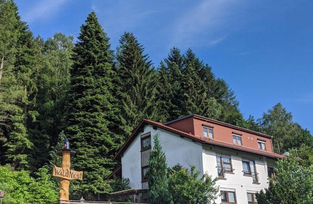 Waldnest Odenwald