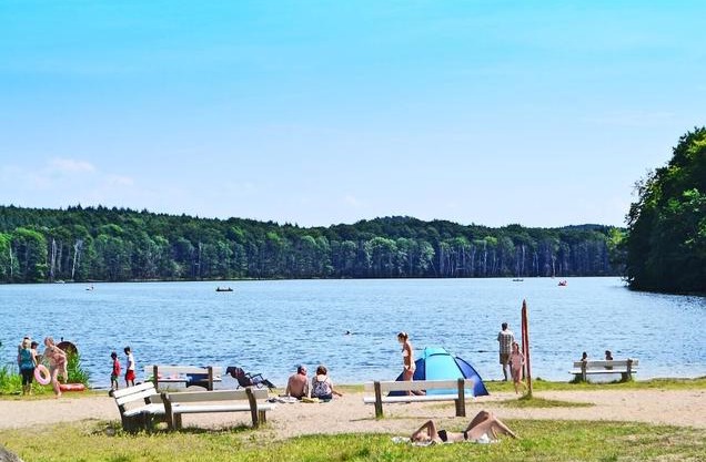 Waldsiedlung Waldhaus App 4.2