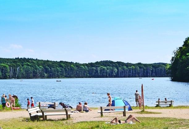 Waldsiedlung Waldhaus App 4.1