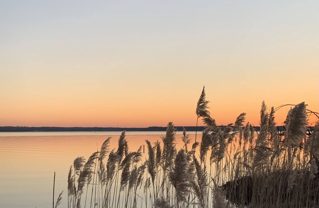 Waterfront - Cobb Island, MD