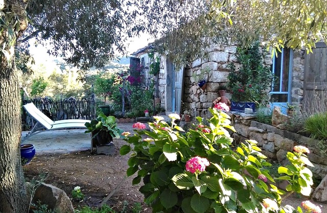 We Are a Farm&Guesthouse Only 20min from the Costa Smeralda beach