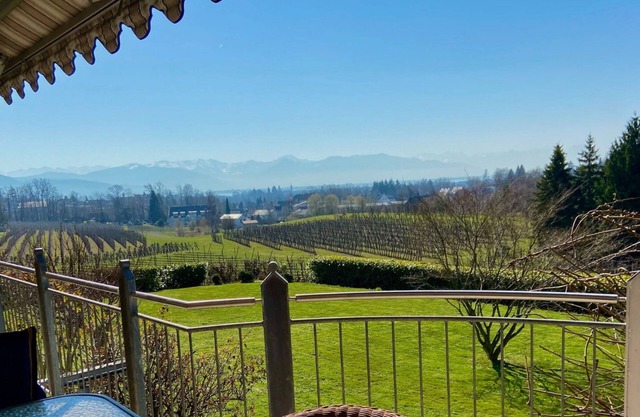Weinberg Idyll vacation apartment - Fantastic view over vineyards to Lake Constance