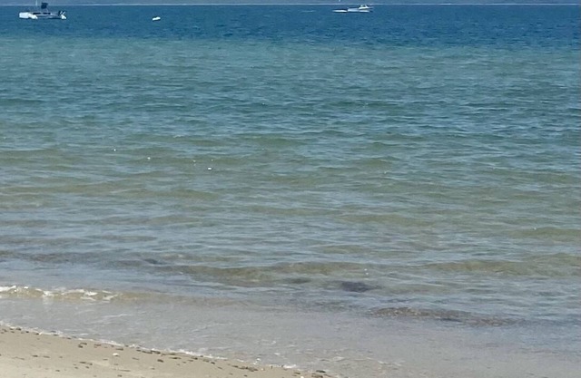 West Tisbury home Walk to Beach and Pond