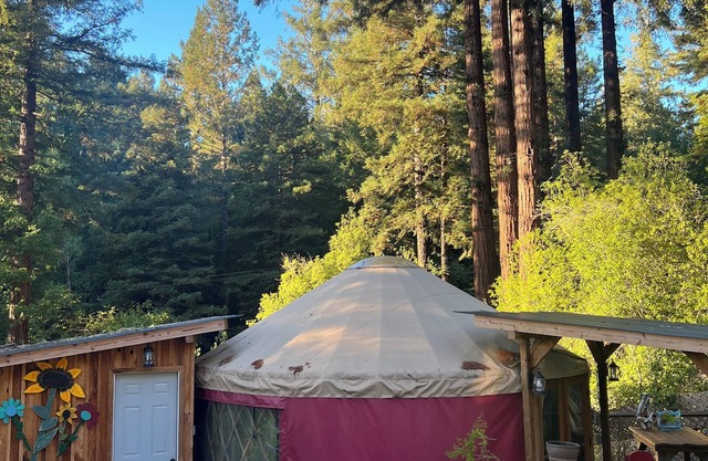 Whimsical Wilderness: Wonderful Yurt Stay