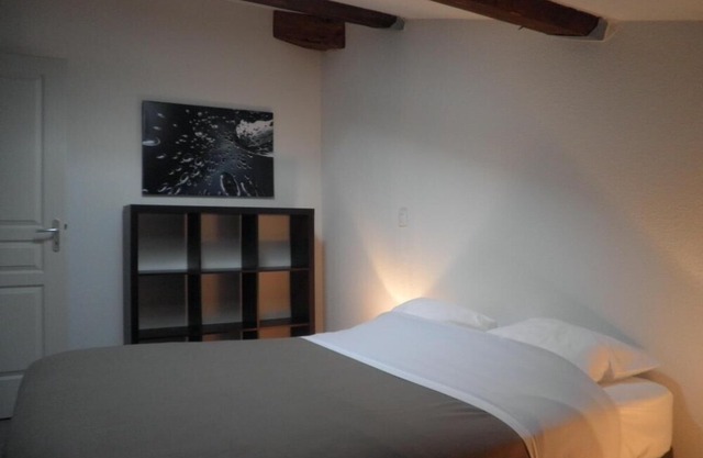 Wifi, 25m from resort center, terrace, parking, tv, ski locker, 40m², Chabanon-Selonnet