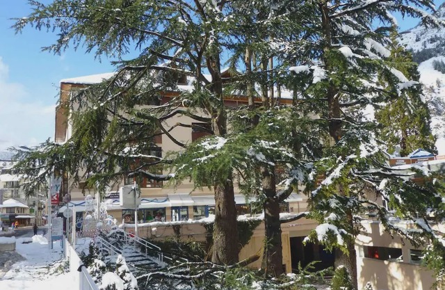Wifi, 50m from resort center, 4th floor, balcony, parking, tv, ski locker, 26m², Brides Les Bains