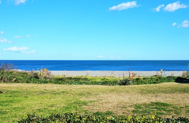 Wifi gratis, soleado, tranquilo, espacioso, 1BR 1 BA grandes piscinas-Sunny