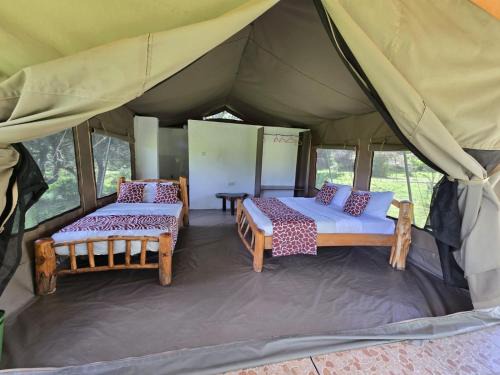 Wild Nest Mara camp